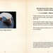 The Mincing Mockingbird Guide to Troubled Birds