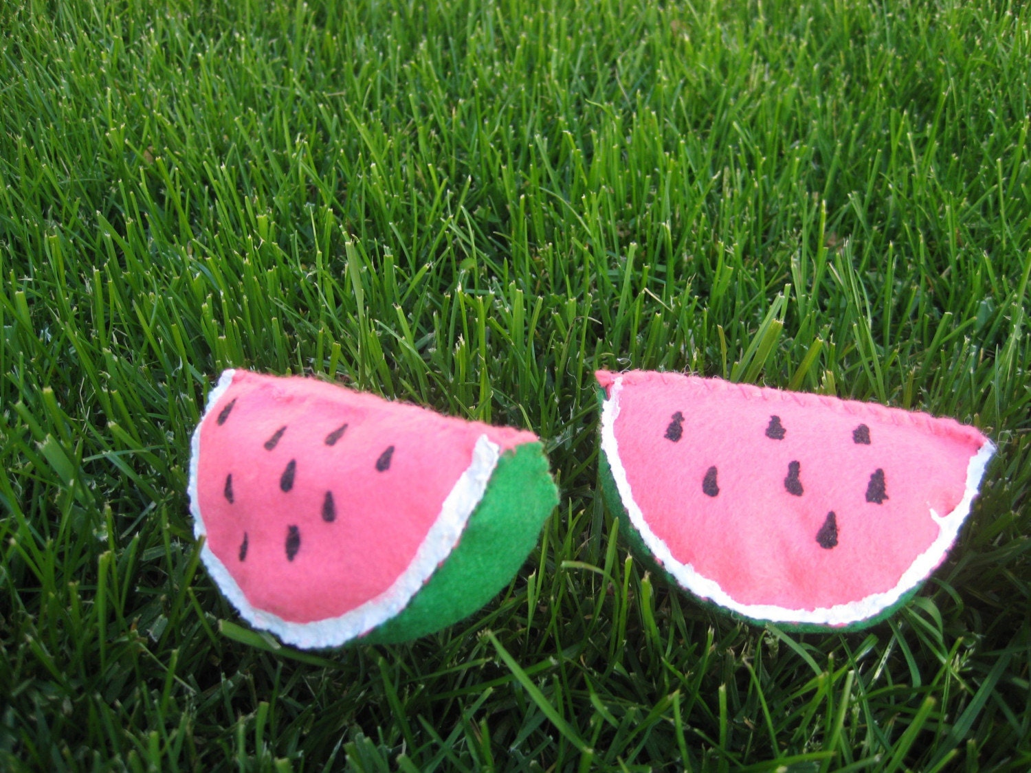 Set of 2 Juicy and Sweet Watermelons--Childrens Garden Fresh Collection