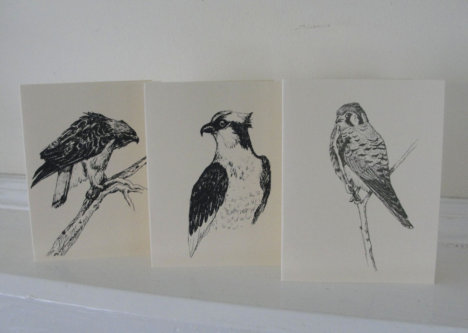 Hawk Bird Greeting Cards Black and White Nature Bird Illustrations Creamy Buff Neutral All Occasion Blank Cards Set of 6