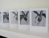 Bunny Rabbit Cards Black and White Bunny Rabbit Illustrations All Occasion Blank Cards Birthday Cards Thank You CardsSet of 6
