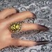 Bats Upon the Glowing Moon Ring