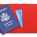 Jet Airplane Passport Cover Embroidered Red Felt