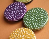 Color Burst Magnet Set