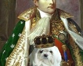 Maltese and Napoleon print