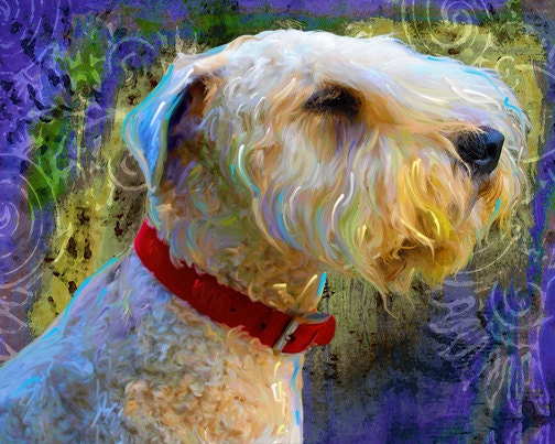 Cecilia the Wheaten Terrier Print