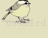 Kinglet