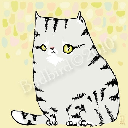Tabby fine art cat print