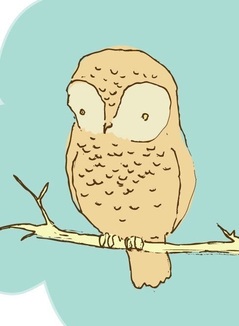 Owl
