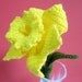 Crochet Flower Pattern Daffodil Flower Crochet Pattern Daffodil Flower