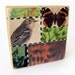 Bird 'n Butterfly - Collage ART BLOCK - Original Mixed Media Collage