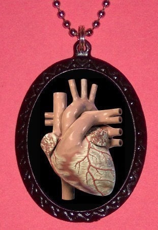 Human Heart Anatomy Art Design Handcasted Pendant setting and hand painted  and  SHS original design hand created DIY Necklace