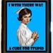 Retro Nurse Humor Cigarette Case or ID Case or Business Card Wallet Sweetheartsinner Nurse I Wish There Was A Cure For Stupid