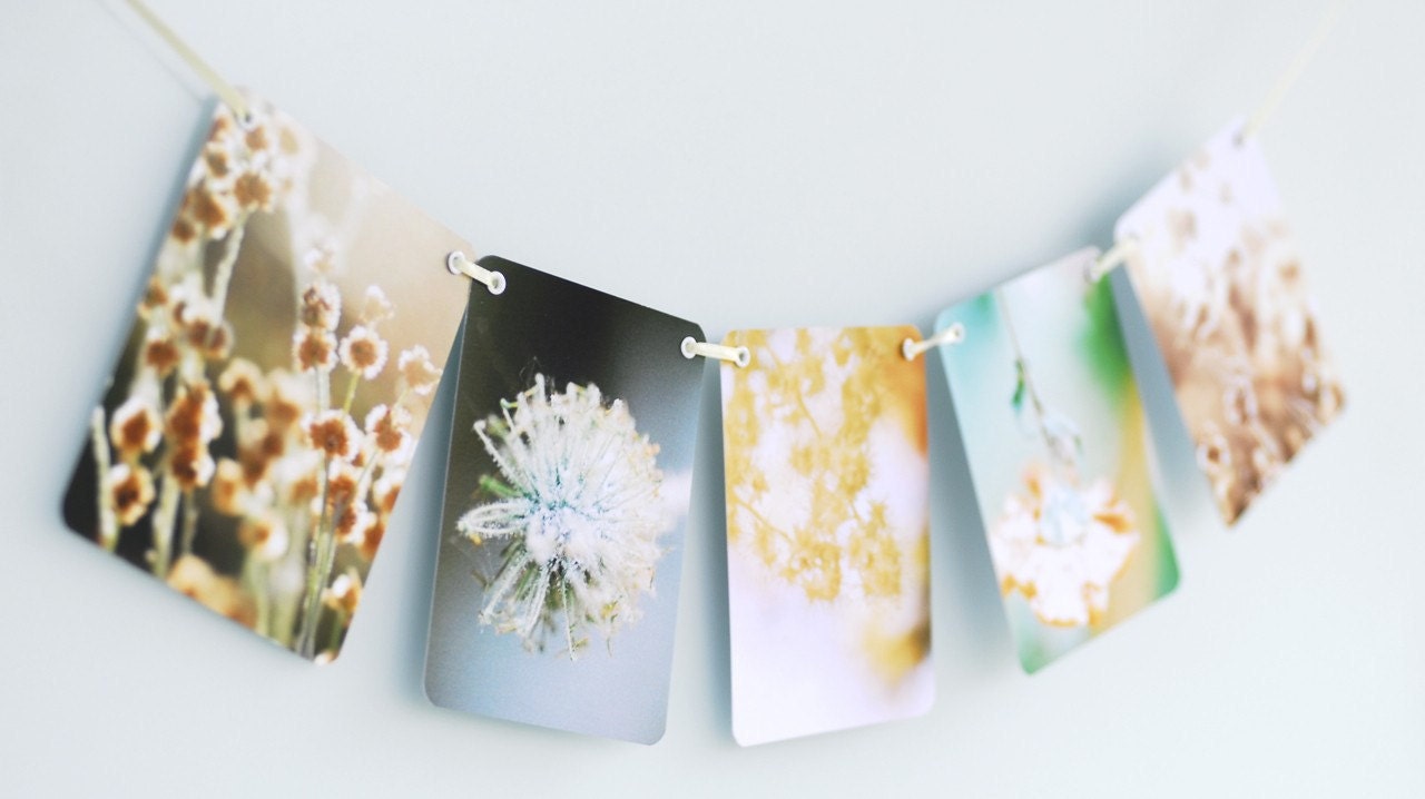 Littleput Vignette- Summer Time Love. A string of photographs for your wall in green and gold and warm.