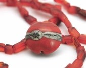 Red Banded Lentil