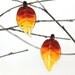 Glass Autumn Leaves