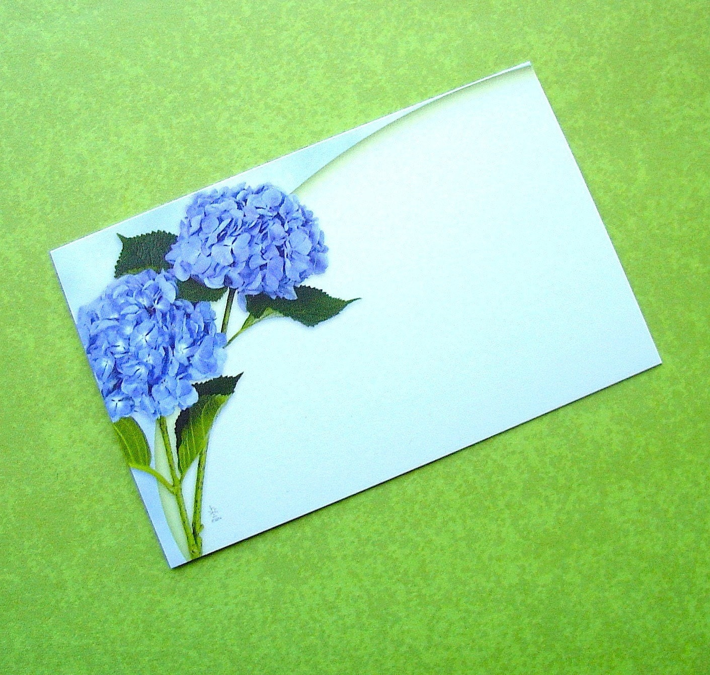 hydrangea enclosure cards \/ 2 dozen