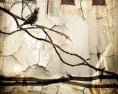 Home- Digital Collage Print - JenMcCleary