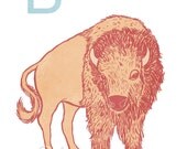 Bison - 5x7 archival print