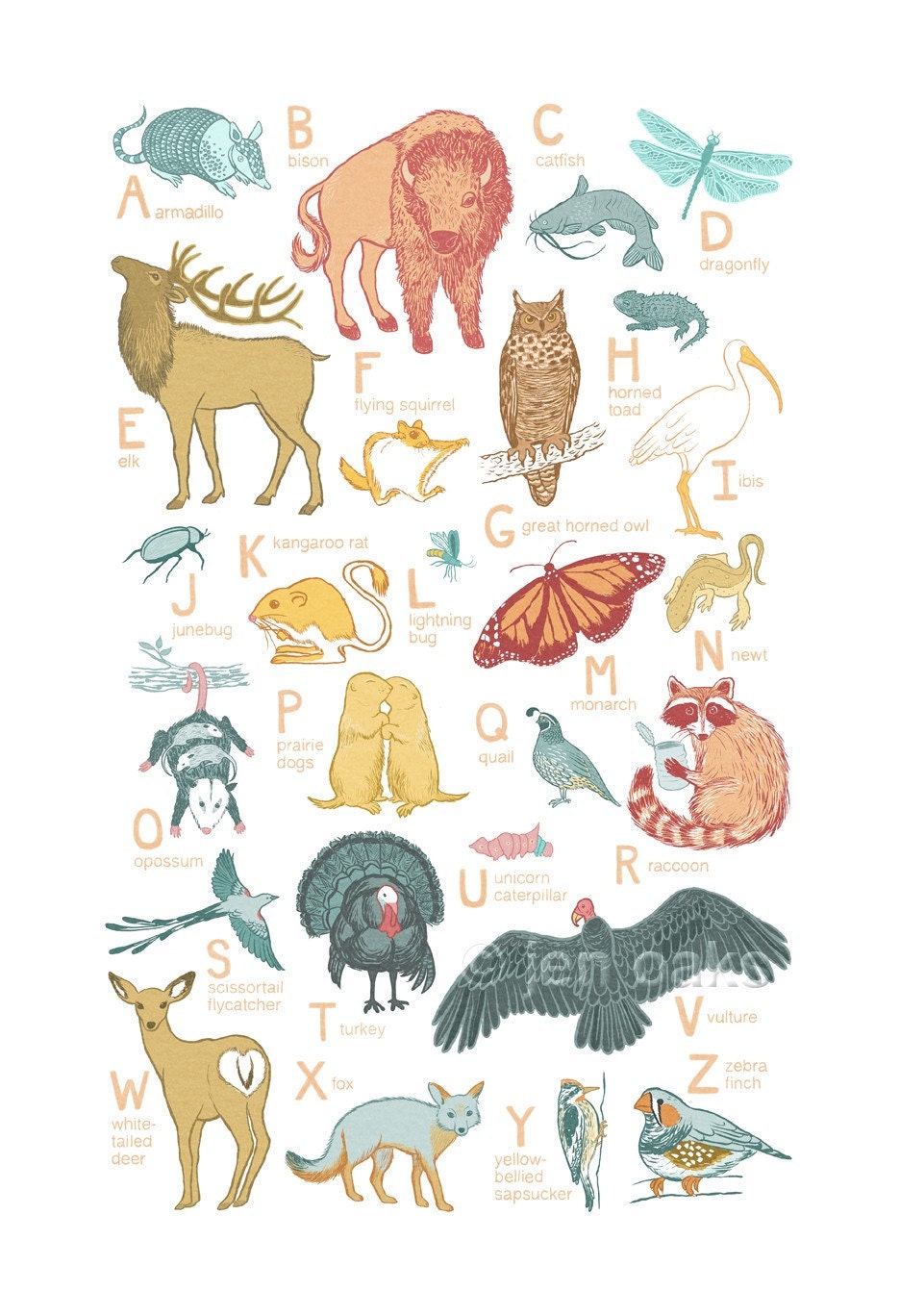 ABC Animal Print - Oklahoma Animals - 13x19