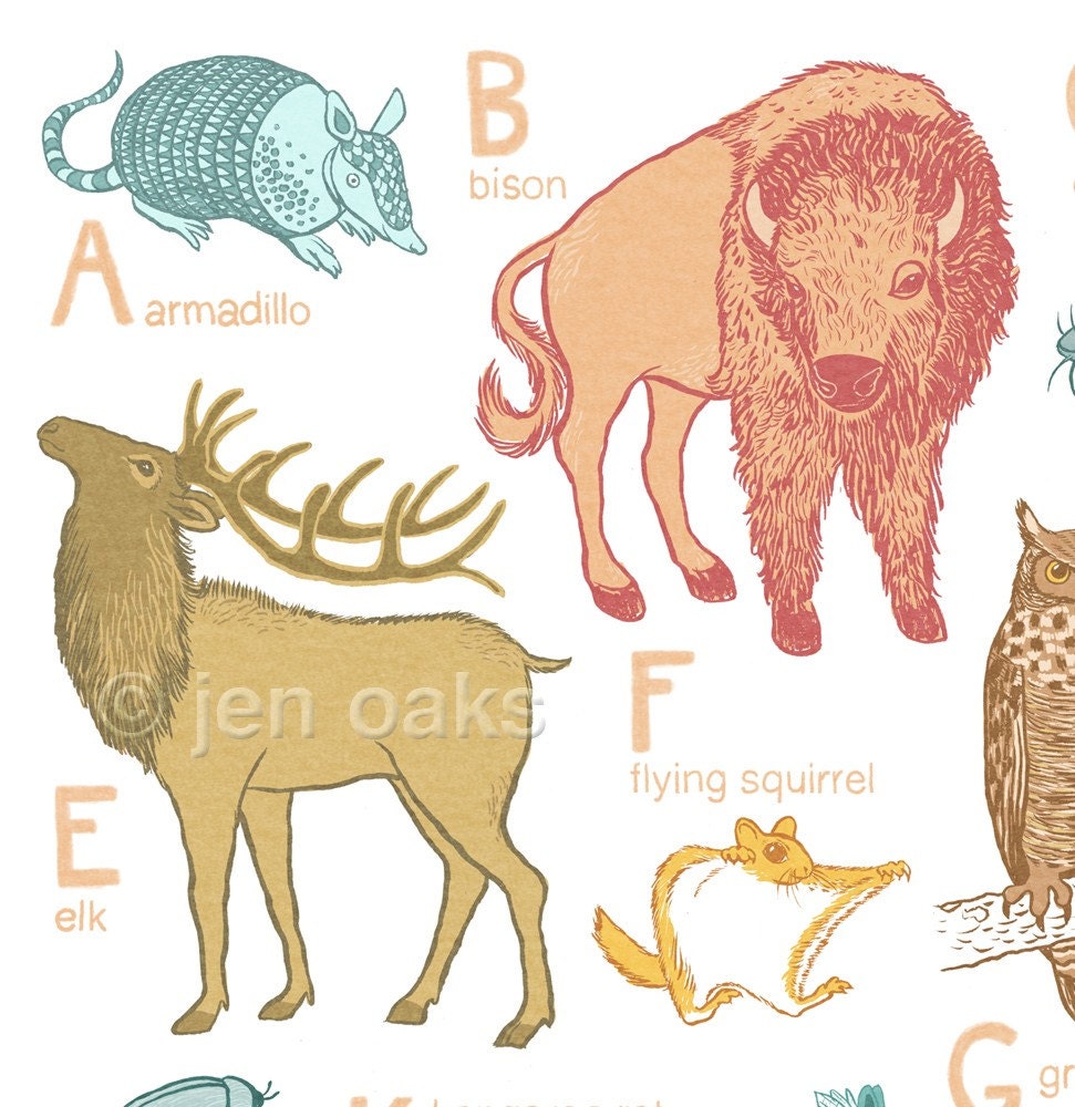 ABC Animal Print - Oklahoma Animals - 10 x 13