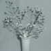 French Beaded Babys Breath