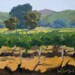 Pinot in a Row - A Study - Original Oil Painting of Sonoma
