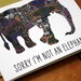 sorry I'm not an elephant-belated birthday or something