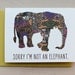 sorry I'm not an elephant-belated birthday or something