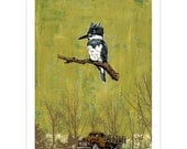 Summer Chartreuse, Kingfisher Green Bird Art Print on Paper, Creek in the Woods Kingfisher, 11x14 Print