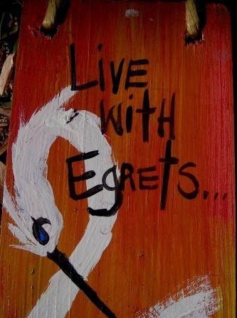 LIVE with EGRETS - not Regrets... original RhondaK saying