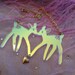 Radiant Acrylic FAWNS Necklace