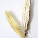 Golden Feather Bobby Pin Set