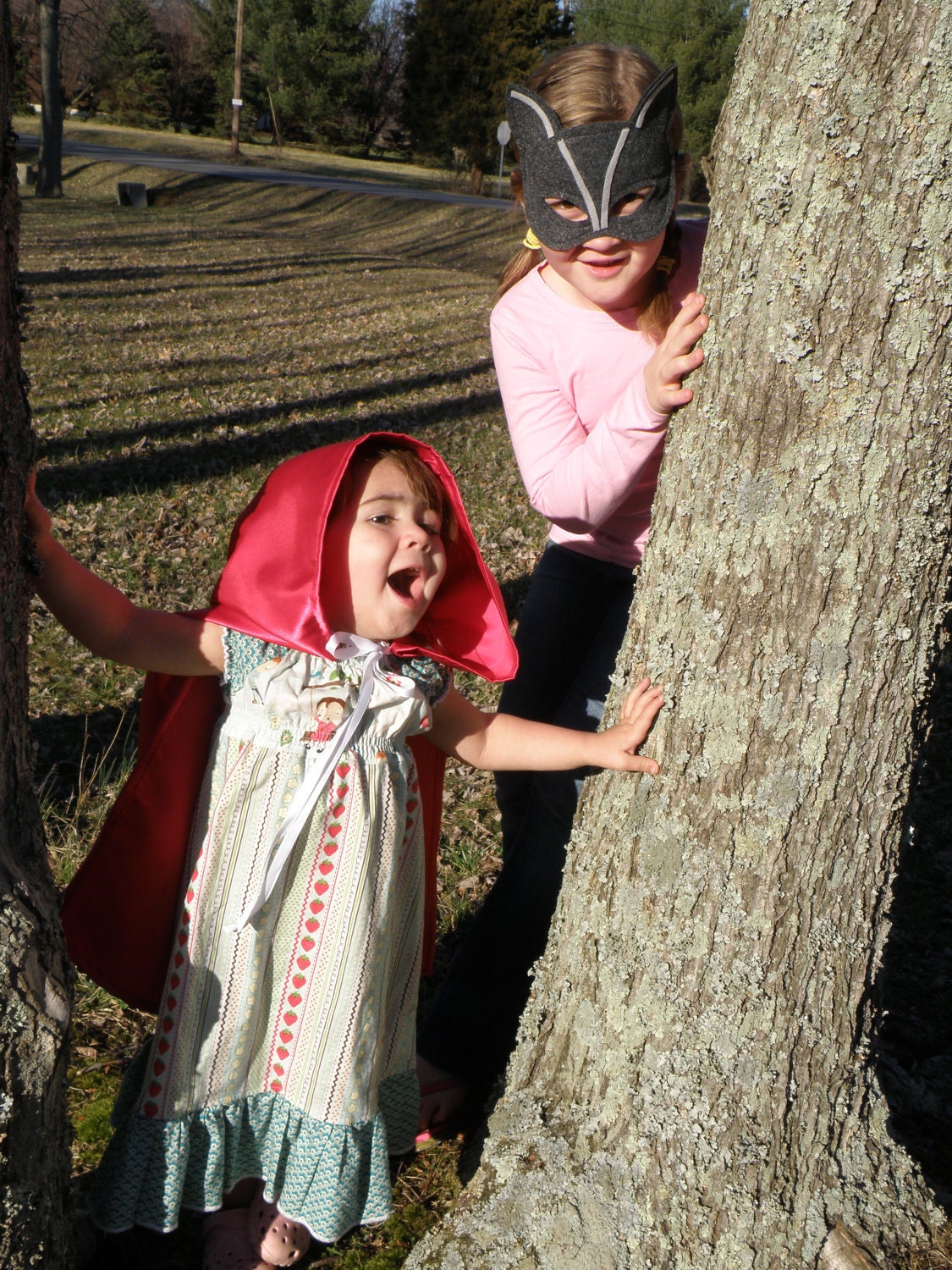 Little Red Riding Hood Cape