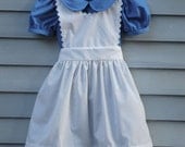 Girl, size 8/10, Alice in Wonderland costume.