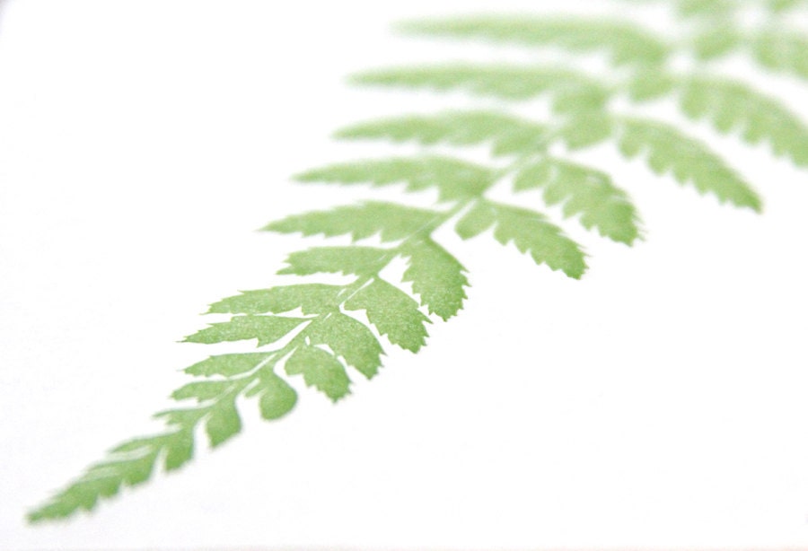 Woodland Fern: letterpress coasters (4ct)