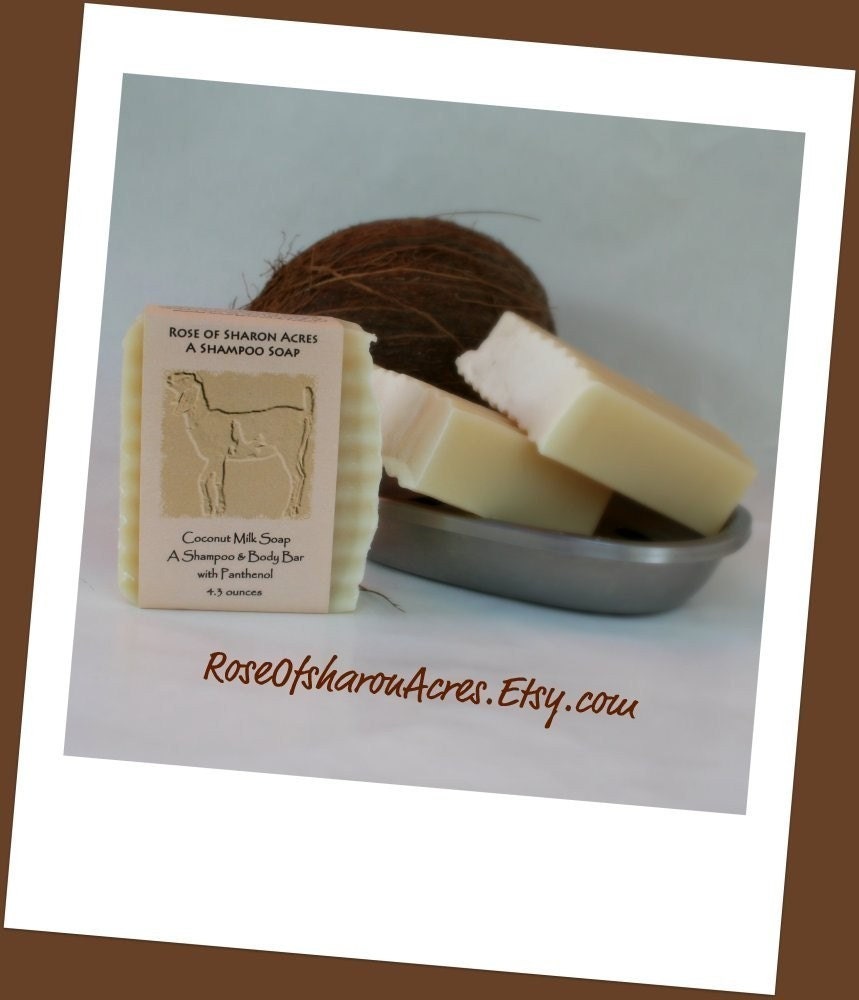 Unscented Coconut Milk Shampoo Bar - Rose of Sharon Acres