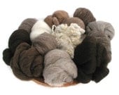 NATURAL COLORED WOOL Sampler 8oz 16 different fibers 0.5oz each
