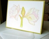 Cards - White Amaryllis, set of 4 FREE USA Shipping