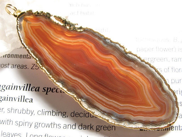Viera, HUGE- Agate Slice