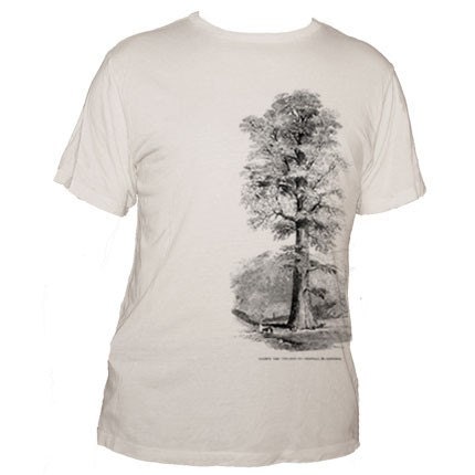 REDWOOD TREE - Organic Cotton Unisex Crew Tshirt