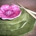 Ceramic Sushi Set Water Lily with Flower