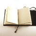 Leather journal, Green, Notebook: Twigs