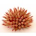 Custom Pencil urchin