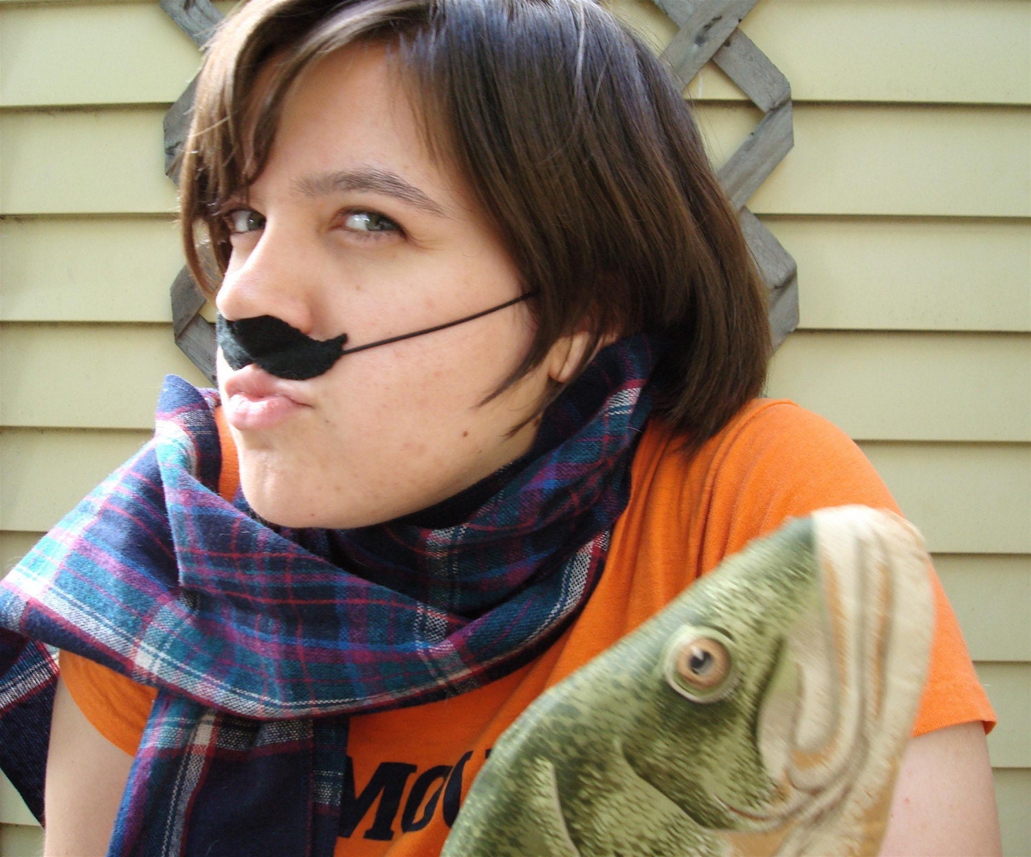 Moustache Disguise, choice of 5 colours