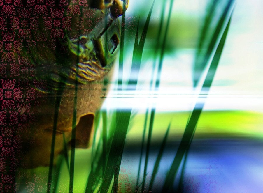 wall art photography, conceptual fine art nature photograph - peace, namaste, nature, green blue