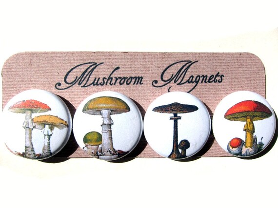 Mushroom Magnet Set