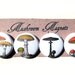 Mushroom Magnet Set