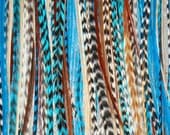 SALE Turquoise Blue 6 Feather Hair Extensions LONG - Bonded or loose  : FREE micro link clamp 100% Real Feathers