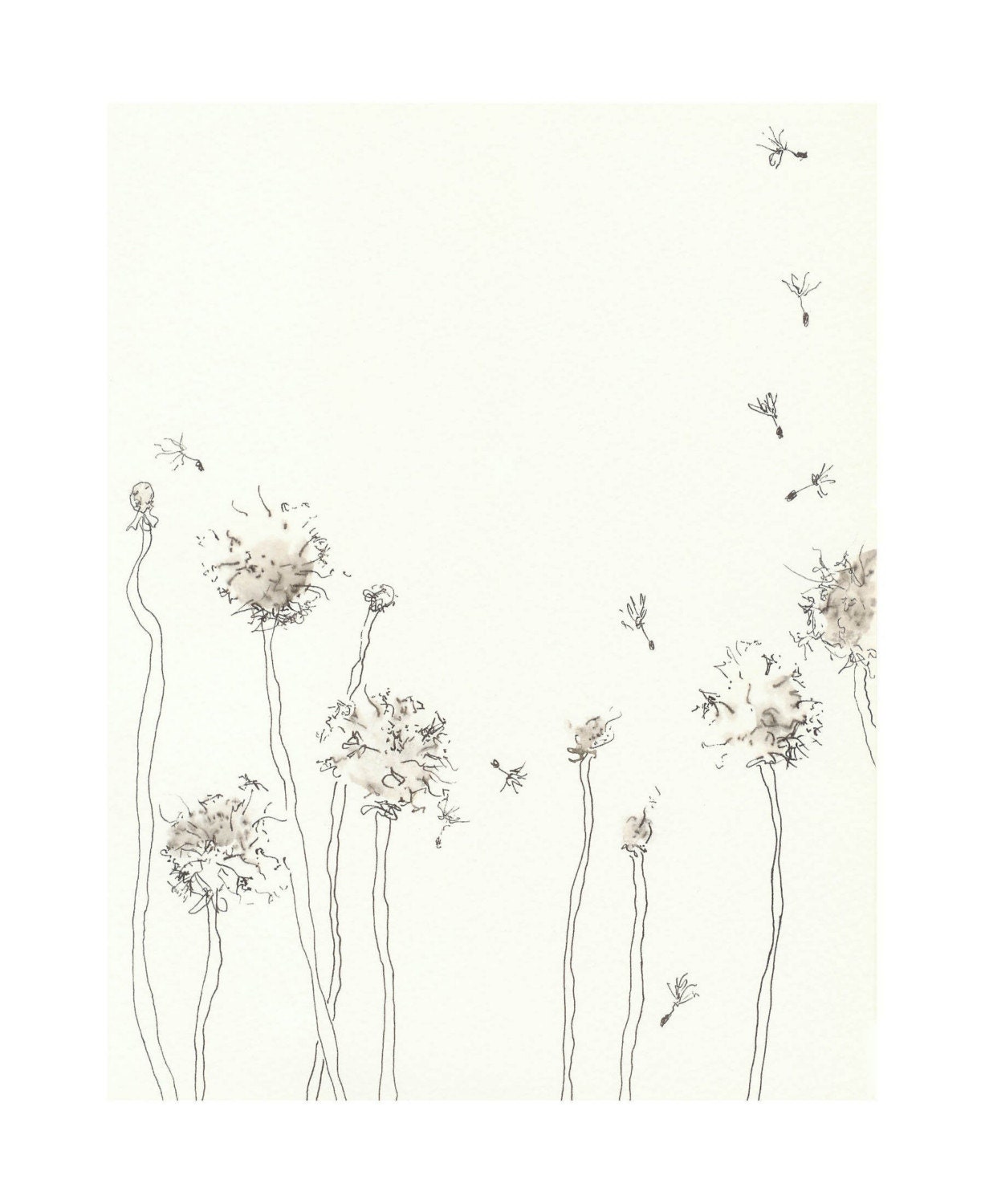 Dandelion Clocks - 7 x 9