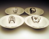 BONE APPETIT cereal bowl Set of 4 skeletal images